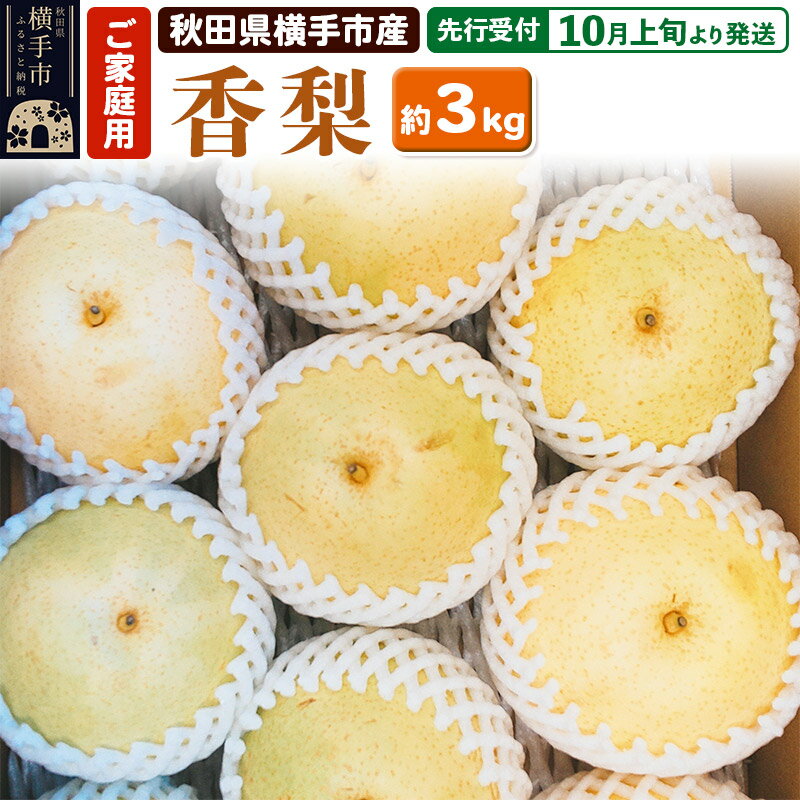 【ふるさと納税】【先行受付】10月上旬より発送 横手市増田産 香梨 ご家庭用 約3kg