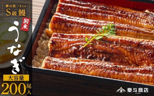 
            横山桂一さんのS級鰻　大200尾（30kg）
          