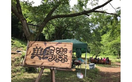馬のお世話体験とふれあい乗馬【キッズ】