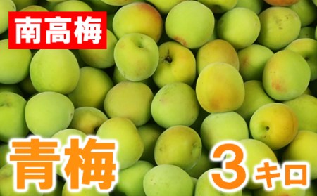 【期間限定】ひらそ農園の青梅 3kg 梅 南高梅 完熟梅 梅干し 梅干 梅干し用 梅酒 梅シロップ 梅ジャム 3キロ 数量限定 先行予約 6月 ＜004-006＞