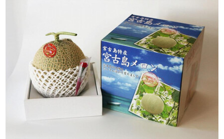 母の日ギフト 母の日メロン【特大１玉】｜沖縄・宮古島産