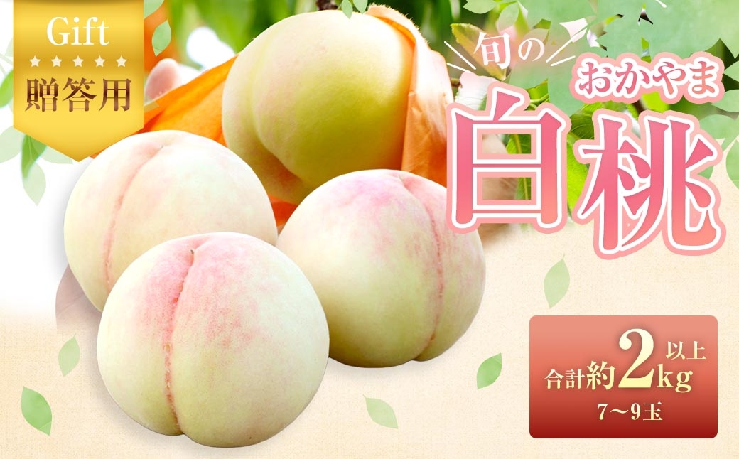 
                  【 贈答用 】 旬のおかやま白桃 7～9玉 （ 約2kg以上 ） 桃 もも モモ 白桃 ピーチ フルーツ 果物 くだもの 果実 おやつ デザート スイーツ 岡山県産 国産 【 2026年7月上旬～8月下旬迄発送予定 】
                