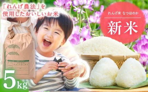 【令和7年度米】 れんげ米 なつほのか 5kg【ふきの陶】 [NF19] 白米 5kg なつほのか R7年度 米 はくまい 白米 5kg 白米 5kg 米