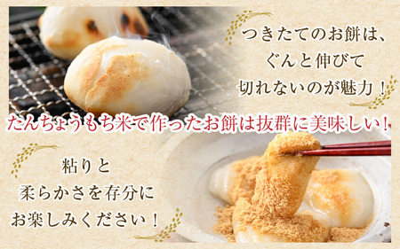 【令和7年産】たんちょうもち米 5kg 精米 ≪希少！お餅作りに最良≫ ／ 餅 タンチョウ 餅つき 丸餅 柏餅 [aw064-a018]