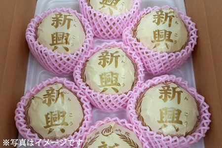 京都府産 新興梨 3kg 【2025年10月中旬発送開始】 果物 フルーツ なし 梨 くだもの