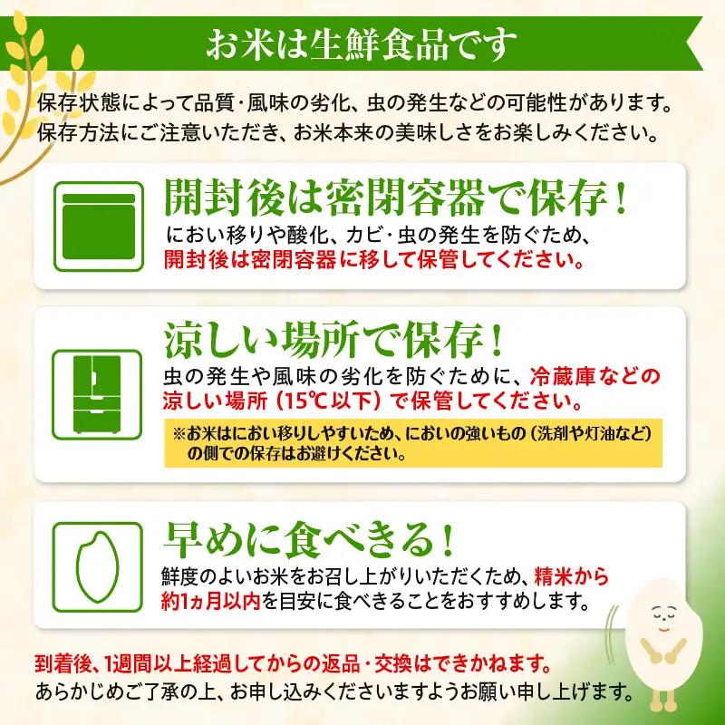 特別栽培米 宮崎県産コシヒカリ 5kg×1袋 米 お米 コシヒカリ 宮崎県産 5kg