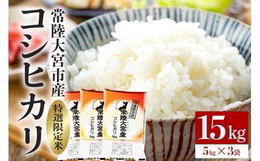 常陸大宮産 コシヒカリ 15kg(5kg×3) 特選限定米 白米 精米 おこめ ご飯 国産米 お米ギフト ブランド米 贈答用 人気のお米 美味しいお米 【一般財団法人常陸大宮市観光物産協会】【ho1398】