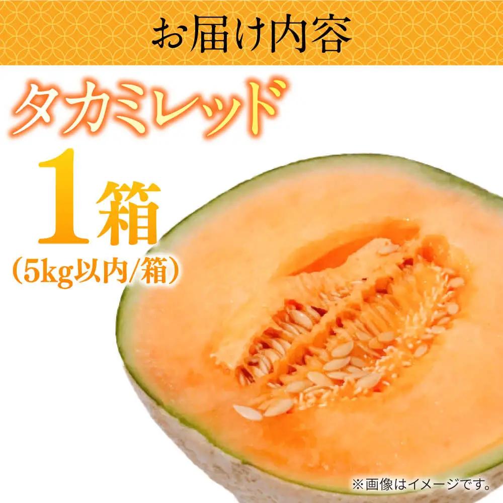 【2027年5月-発送】タカミメロン レッド 1箱 5kg以内（3?6玉） / メロン めろん フルーツ 果物 / 南島原市 / 南島原果物屋[SCV031]