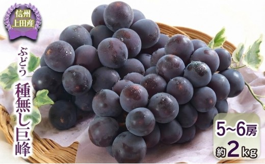 
                  巨峰 約2kg 5～6房 信州上田産 種なし巨峰 ぶどう 葡萄 ブドウ 種なし 果物 くだもの フルーツ デザート 旬の果物 旬のフルーツ 長野県 長野
                