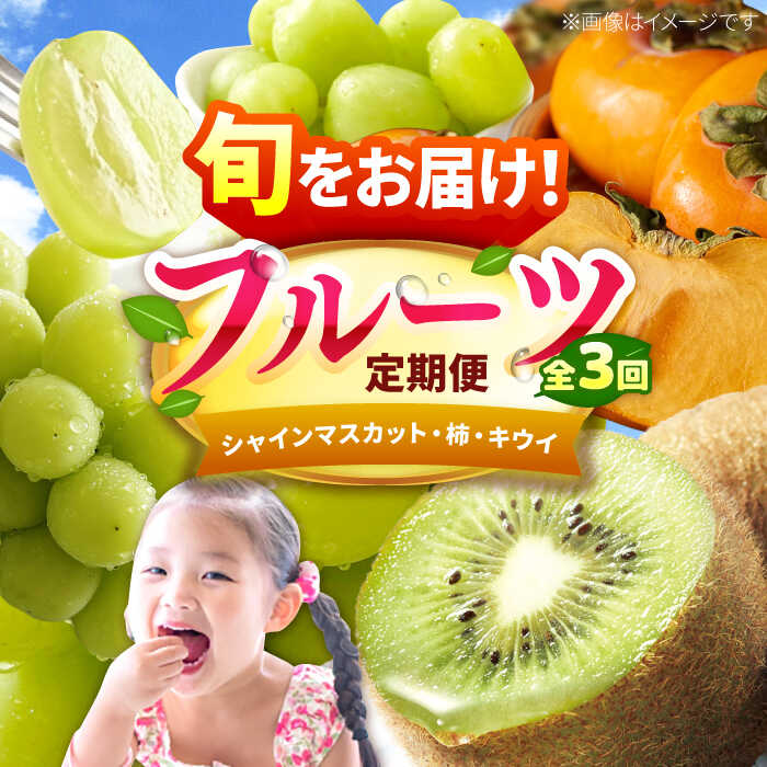 【ふるさと納税】【3回定期便】フルーツ定期便（シャインマスカット/柿/キウイ） 広川町 / JAふくおか八女農産物直売所どろや[AFAB091]