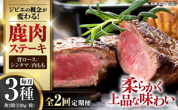 
【全2回定期便】鹿肉 ステーキ3種セット（背ロース120g×2枚・シンタマ120g×2枚・内もも120g×2枚）《喜茂別町》【EBIJIN】 ジビエ モモ セット ステーキ 赤身 冷凍配送 定期便 [AJAO022]
