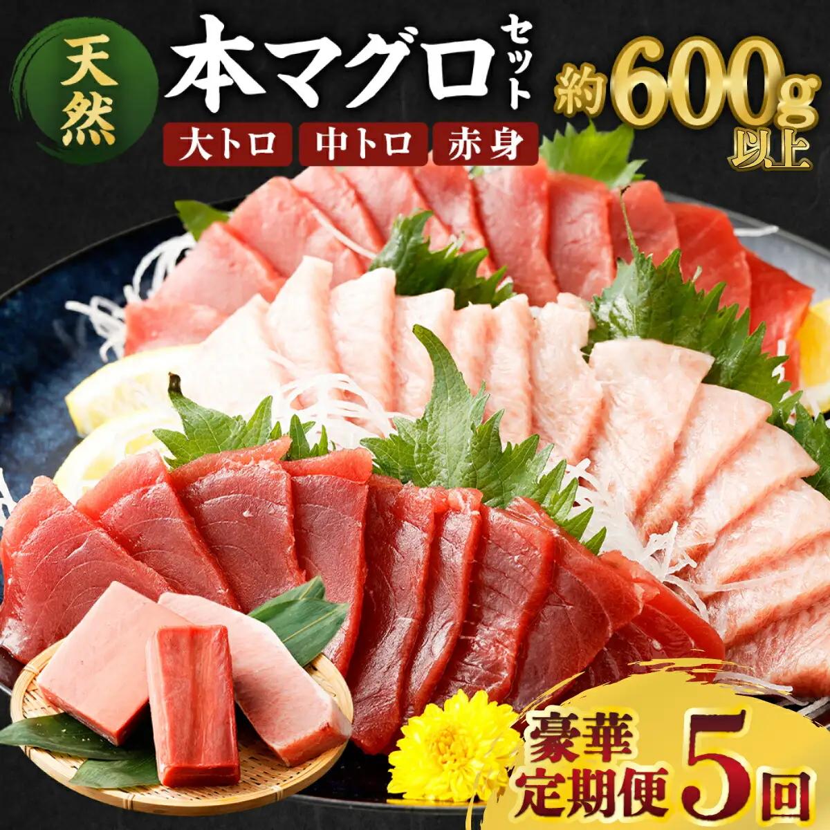 【定期便/計5回】天然本マグロ（各600g） 【まぐろ】FN-Limited-PR
