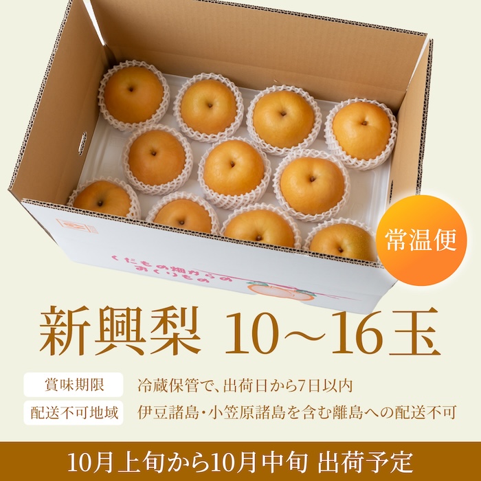 【先行予約】有機配合肥料使用 新興梨 10玉から16玉 2025年10月上旬から10月中旬 出荷予定【春光園】 梨 なし 果物 フルーツ