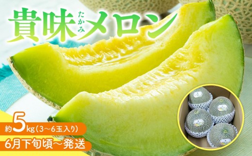 貴味(たかみ) メロン 約5kg (3～6玉入り)