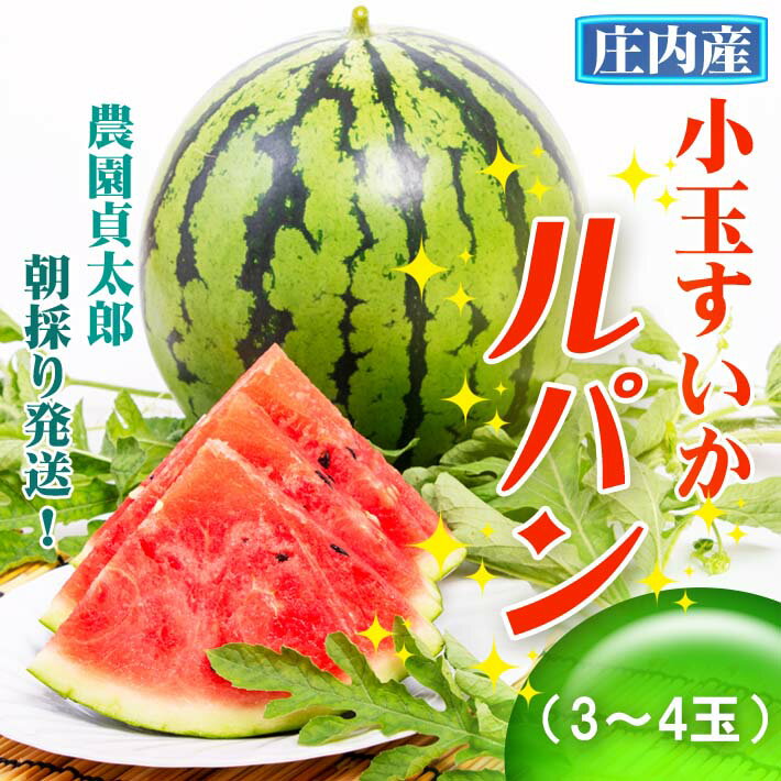 【ふるさと納税】【7月下旬より順次発送】農園貞太郎 小玉スイカ ルパン 3～4玉（入金期限：2026.7.10）ふるさと納税 山形