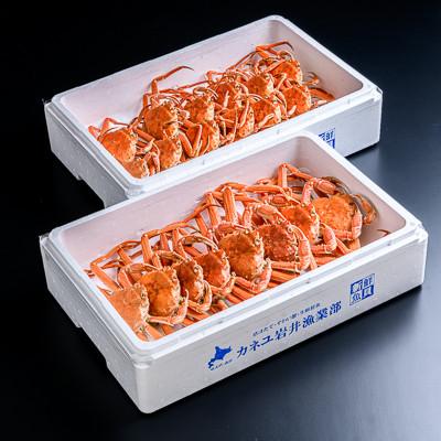 ふるさと納税 森町 ■北海道噴火湾産■【訳あり】冷凍ボイル済・オオズワイガニ 約4.0kg(オスメス小サイズ混合)