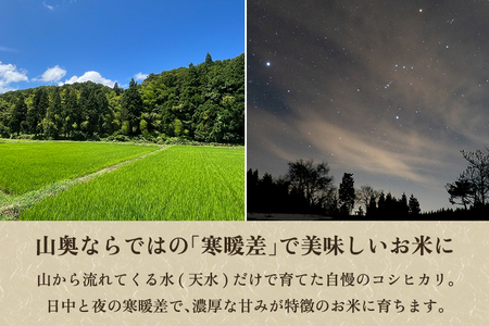 【令和8年産新米先行予約】【定期便6ヶ月毎月お届け】七谷産コシヒカリ 精米5kg《10月上旬～順次出荷》
