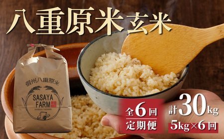 【寄附額改訂↓】令和８年新米予約【6回定期便】八重原米5kg（5kg×1袋）合計30kg 玄米 コシヒカリ 特A米 ※2026年10月以降順次発送｜笹屋農園「農薬削減長野県認証取得」 先行予約 お米