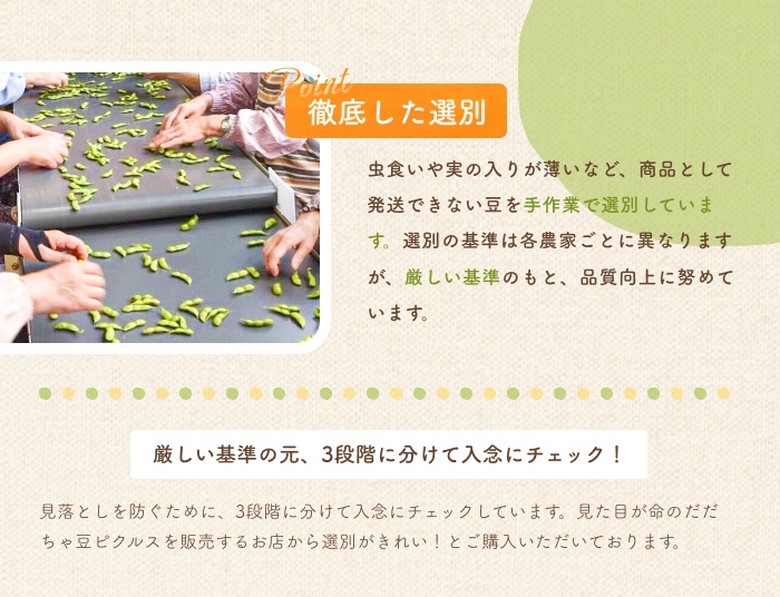 【令和8年産先行予約】だだちゃ豆 (早生甘露) 　1.5kg (500g×3袋) 　だだちゃ喜左衛門株式会社