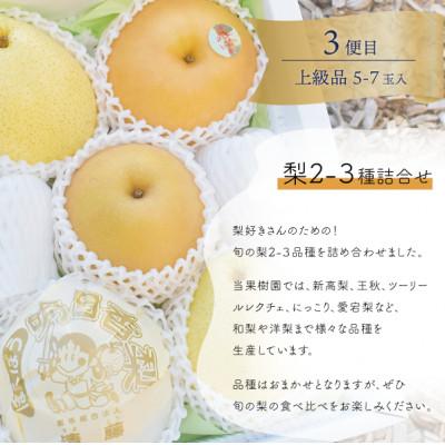 ふるさと納税 真庭市 【発送月固定定期便】【2026年先行予約】量より質!桃と葡萄と梨の上級品が届く(岡山県産)全3回 |  | 03