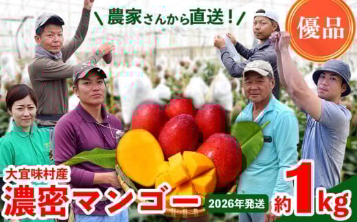 【2026年発送】濃密マンゴー《優品・約1kg》大宜味村農家さんから直送！ 優品 先行予約 沖縄 甘味 糖度 濃厚 おいしい お土産 まんごー アーウィン 果物 くだもの 果実 送料無料 ふるさと納税 １キロ トロピカル 化粧箱入り 食べ物 フルーツ