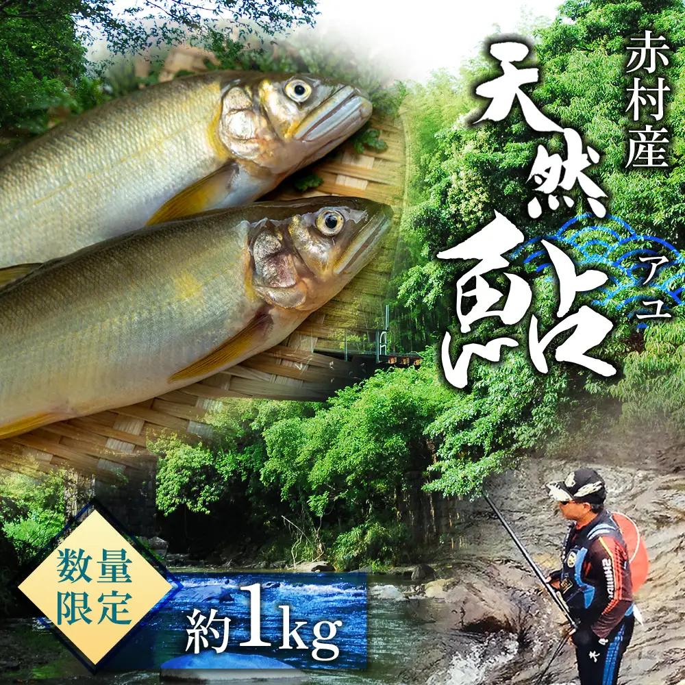 冷凍鮎 約1kg  鮎 川魚 3E6