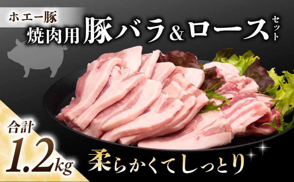 
            東御市産 ホエー豚 焼肉 セット1.2kg（ロース、バラ 各300g×4パック）|  食べ比べ 小分け 冷凍 真空パック ホエイ豚 豚肉 国産 長野
          
