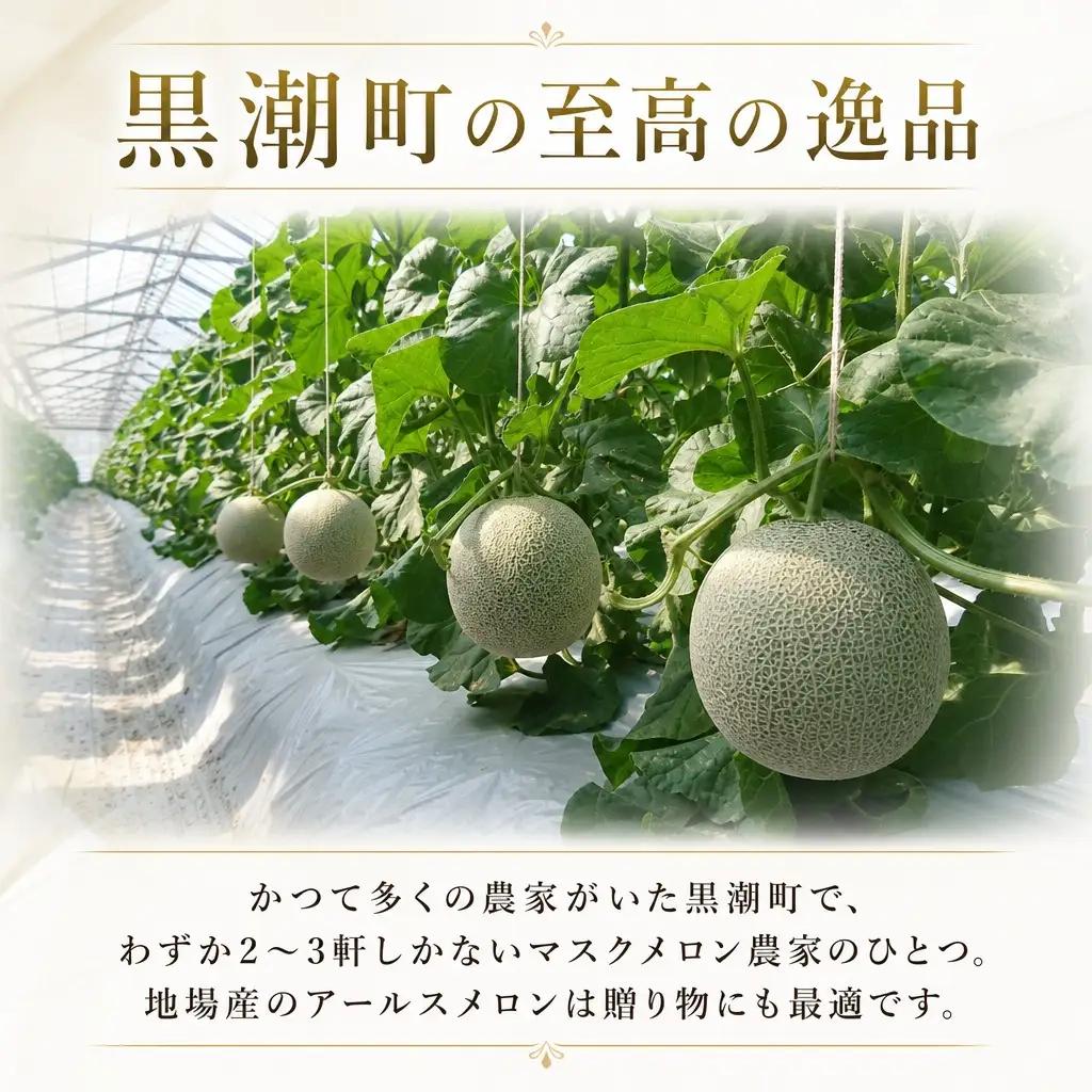 米津農園のアールスメロン 1玉［1829］