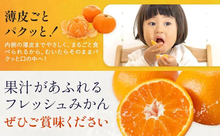 【3ヶ月定期便】 訳あり 温州みかん 約8kg 日本フルーツ株式会社 熊本県 荒尾市 《10月上旬-12月末頃出荷》 デコポン 果物 フルーツ スイーツ デザート