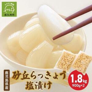 鹿児島県産砂丘らっきょう塩漬け1.8キロ【配送不可地域：離島】【1186084】