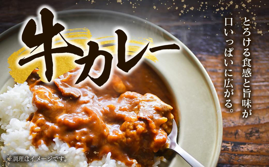 宮崎牛こま切れ1kg 小分け 200g×5パック A4等級以上 牛肉 ブランド牛 内閣総理大臣賞4連覇 ＜2.3-3＞炒め物 カレー 肉じゃが等
