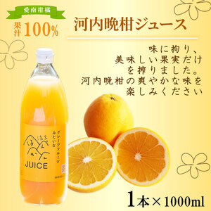 柑橘ジュース セット 3本×1000ml 100% せとか 温州 みかん 河内晩柑 ストレートジュース 清家ばんかんビレッジ