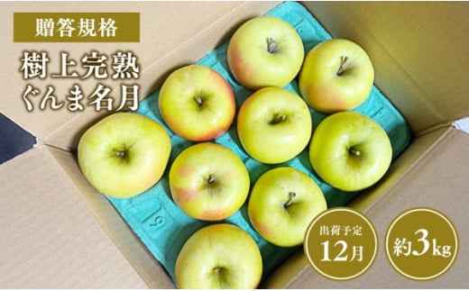≪令和7年産先行受付≫贈答用 樹上完熟ぐんま名月約3㎏【青森県 平川市 山内ファーム】贈答 贈答規格 平川市産 青森りんご りんご リンゴ 林檎 完熟 群馬名月 名月 お取り寄せ 先行予約 果物 くだもの フルーツ 