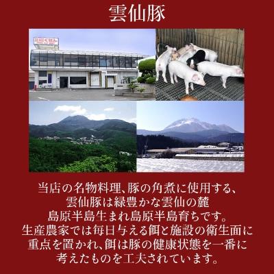 ふるさと納税 長崎県 角煮饅頭6個セット |  | 02