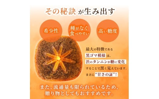 【先行予約】紀の川柿 （果実の中身が黒い！黒蜜柿）希少栽培！ 秀品６個～９個 こだわり農家厳選！【2026年10月上旬から11月上旬頃発送】/ 和歌山県 かつらぎ町 カキ 柿 紀ノ川柿 秀品 紀の川柿