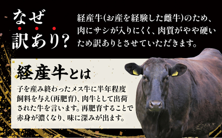 ≪訳あり≫黒毛和牛リブローススライス(計500g) 肉 牛 牛肉 国産_T025-007【 人気 牛 ギフト 牛 食品 牛 お肉 牛 すき焼き 牛 贈り物 牛 送料無料 牛 国産 牛 小間切れ 牛 切