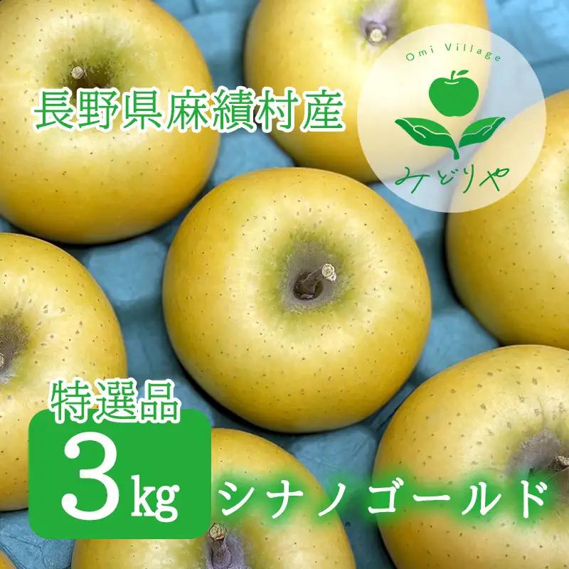 【2026年 先行予約 令和8年産】長野 麻績村 りんご 期間限定 特選品 3kg ギフト 自宅用 贈り物 自宅用にも ギフトにも 堤 みどりや シナノゴールド 産地直送 新返礼品