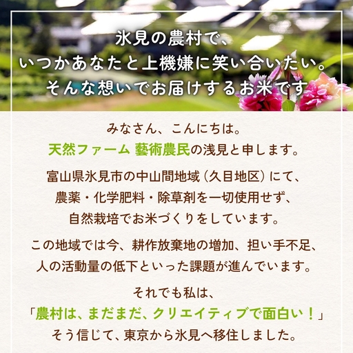 【交響するお米】［古代米ミックス］自然栽培 朝紫&アクネモチ 250g×4袋（ 令和7年産 ） 富山県 氷見市 |  移住農家が里山から直送 米 古代米 紫黒米 緑米