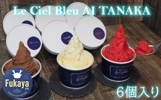 アイスクリーム　6個入り　【11218-0637】