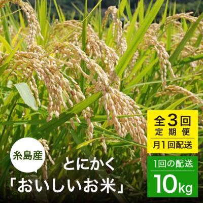 ふるさと納税 糸島市 【全3回(月1)定期便】とにかくおいしいお米  10kg 糸島市 シーブ [AHC050]