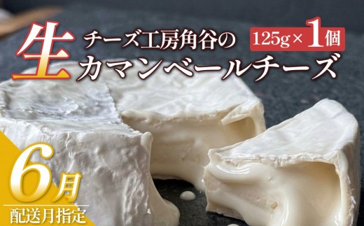 【ふるさと納税】【6月配送】超熟「生」カマンベールチーズ 1個 チーズ工房角谷 KAKUYA カマンベール チーズ ちーず 地元産生乳使用 生乳 手造り クリーミー おつまみ デザート 北海道 安平町 安平