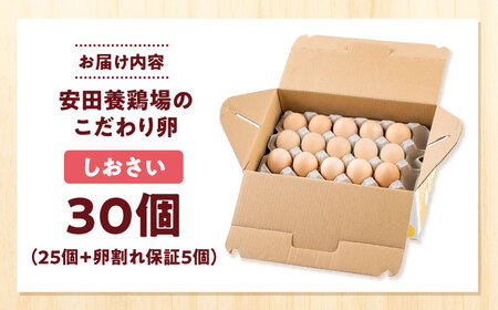安田養鶏場の卵 しおさい 30個入り 横須賀市 産地直送 たまご 黄身 濃厚 卵 玉子 タマゴ 鶏卵  【安田養鶏場】[AKHN001]