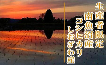 【新米予約・令和6年産】定期便３ヶ月：精米４Kg 【特別栽培】生産者限定 南魚沼しおざわ産コシヒカリ