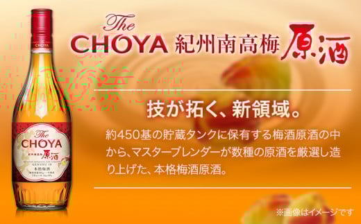 THE CHOYA 紀州南高梅原酒 700ml 至極の梅 650ml 計2本 セット 飲み比べ 羽曳野商工振興株式会社《30日以内に出荷予定(土日祝除く)》大阪府 羽曳野市 送料無料 梅酒 梅 酒 C
