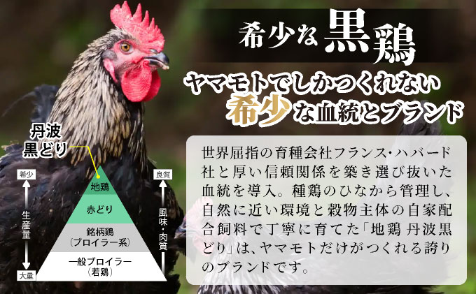 【訳あり 緊急支援】地鶏 丹波黒どり 手羽元 4kg＜京都亀岡丹波山本＞500g ×8パック 冷凍限定《特別返礼品 鶏肉 小分け》