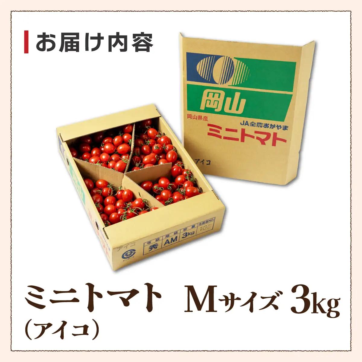 【先行予約】ミニトマト（アイコ）　3kg　Mサイズバラ詰め