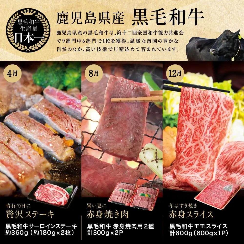 【定期便 全6回】スターゼン厳選お肉の定期便（鹿児島県産黒毛和牛・黒豚） 牛肉 豚肉 サーロイン ステーキ 切り落とし しゃぶしゃぶ 焼肉 すき焼き もも モモ バラ ロース スライス 小分け 定期便