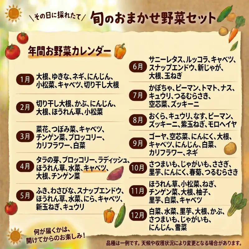 産地直送 朝どれ 新鮮野菜 4～5種類 詰め合わせ セット 野菜