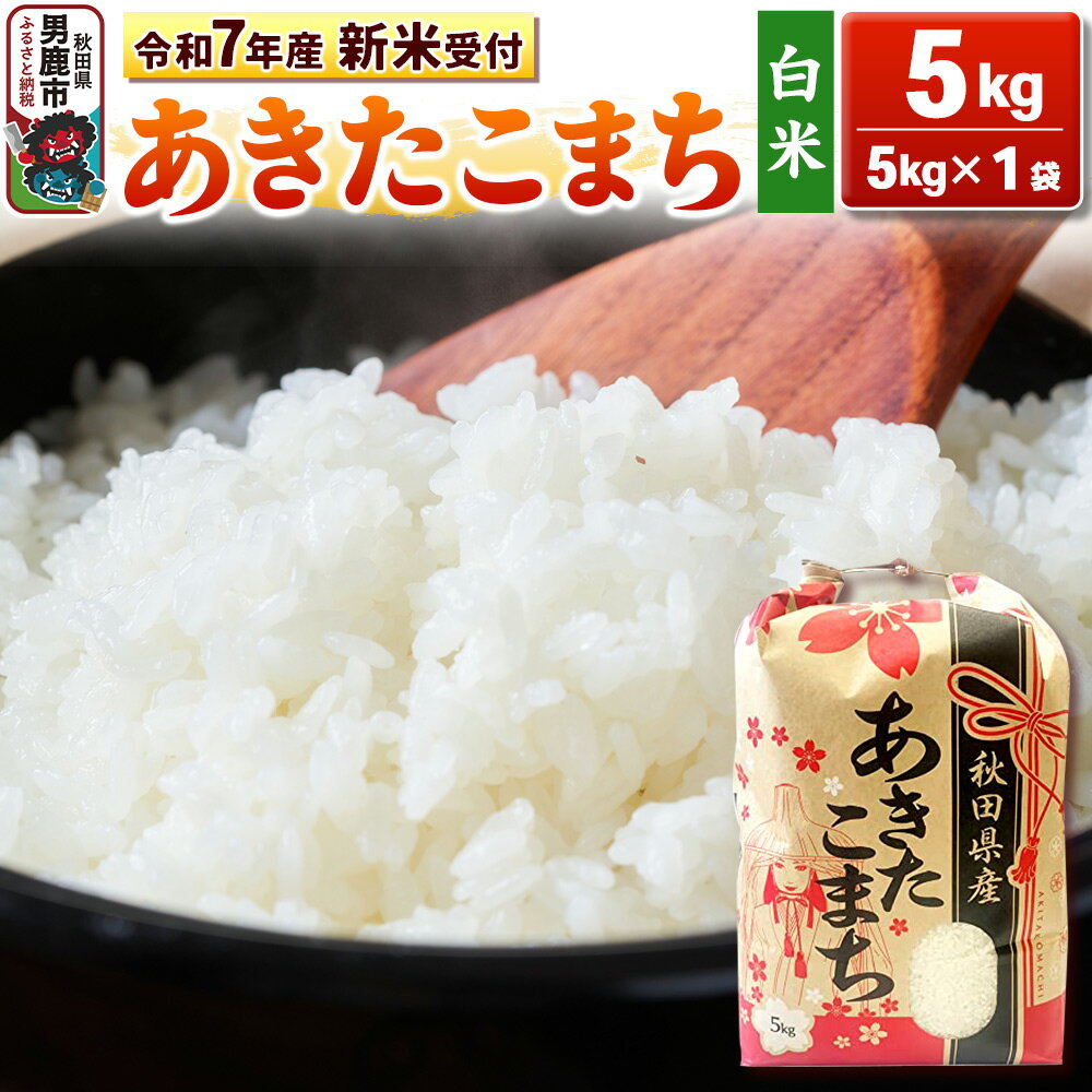 【ふるさと納税】《令和7年産 新米先行受付中》【白米】秋田県産 あきたこまち 5kg 秋田県 男鹿市 こまちライン