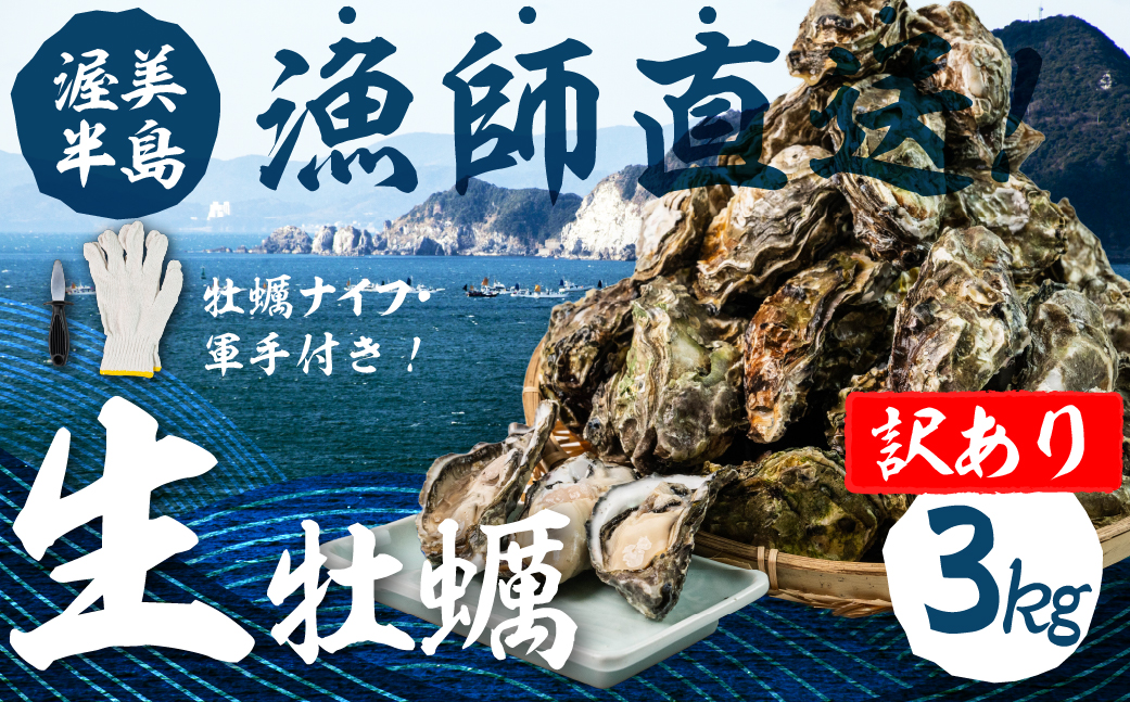 【先行予約】訳あり 殻付き 生牡蠣 3kg 加熱用 軍手・牡蠣ナイフ付 牡蠣 カキ かき 生 殻付牡蠣 フライ 鍋 バーベキュー BBQ 海鮮 魚介 魚貝 貝 魚介類 新鮮 渥美半島 田原市 愛知県 国産 海産物 オイスター 海の ミルク 軍手 牡蠣 ナイフ 付 冬 〜 春